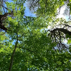 Meet your Posher, May